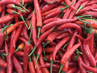 Piment Jalapeno - Piment Jalapeno