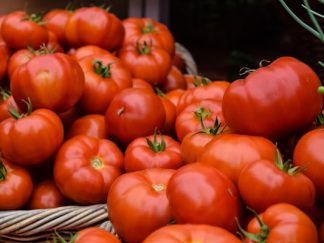 Tomate Noire de Crimee